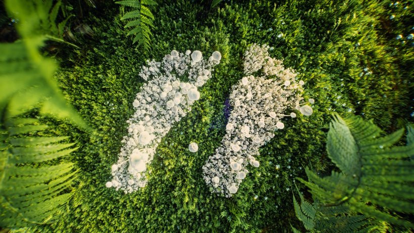 Indice de biodiversité local